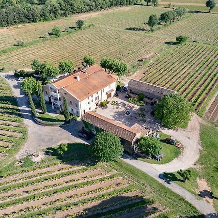 Gite Vert D'Olive Au Milieu Des Vignes - Chateau Les Apies Les Arcs-sur-Argens Eksteriør bilde