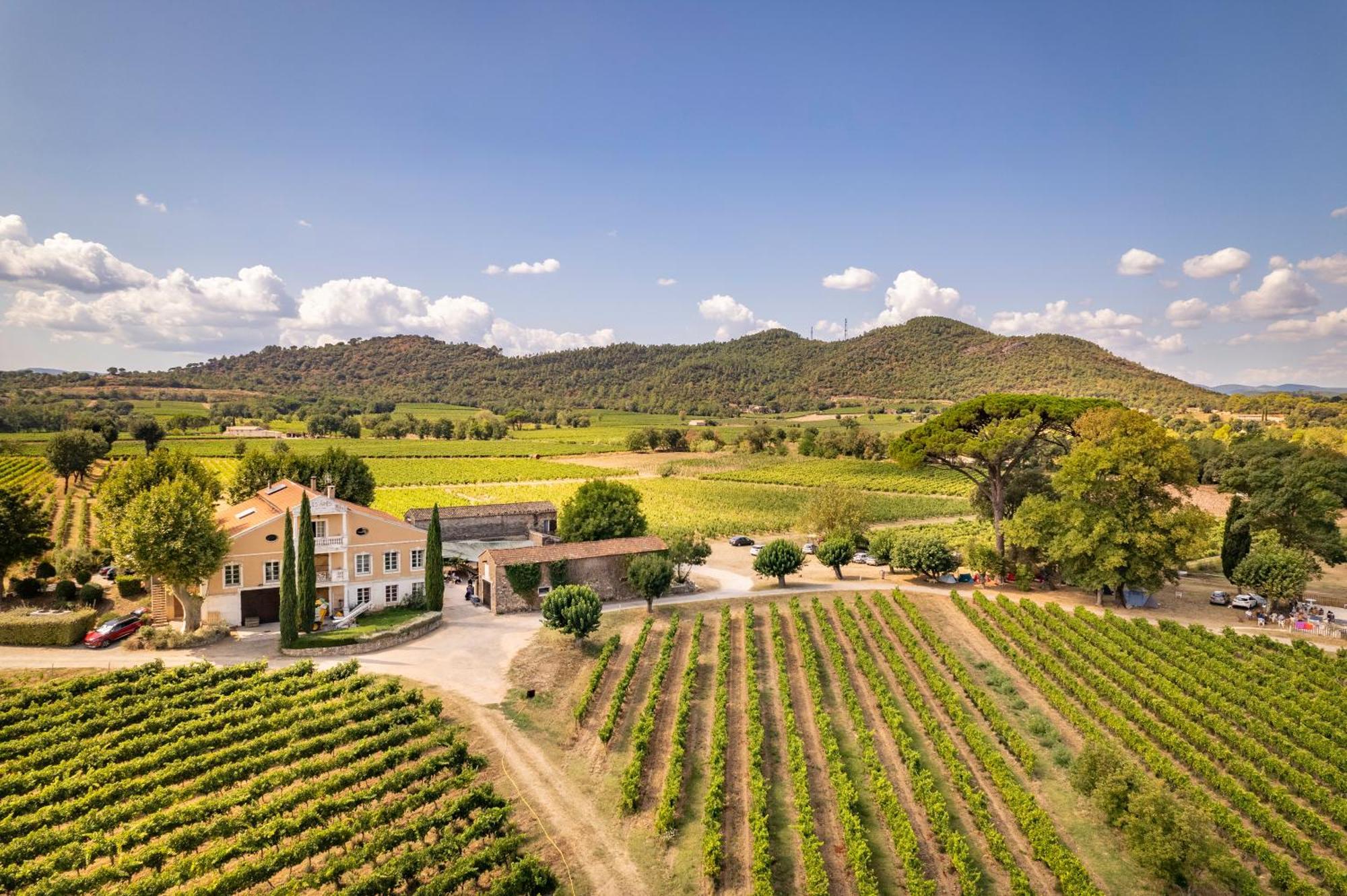 Gite Vert D'Olive Au Milieu Des Vignes - Chateau Les Apies Les Arcs-sur-Argens Eksteriør bilde