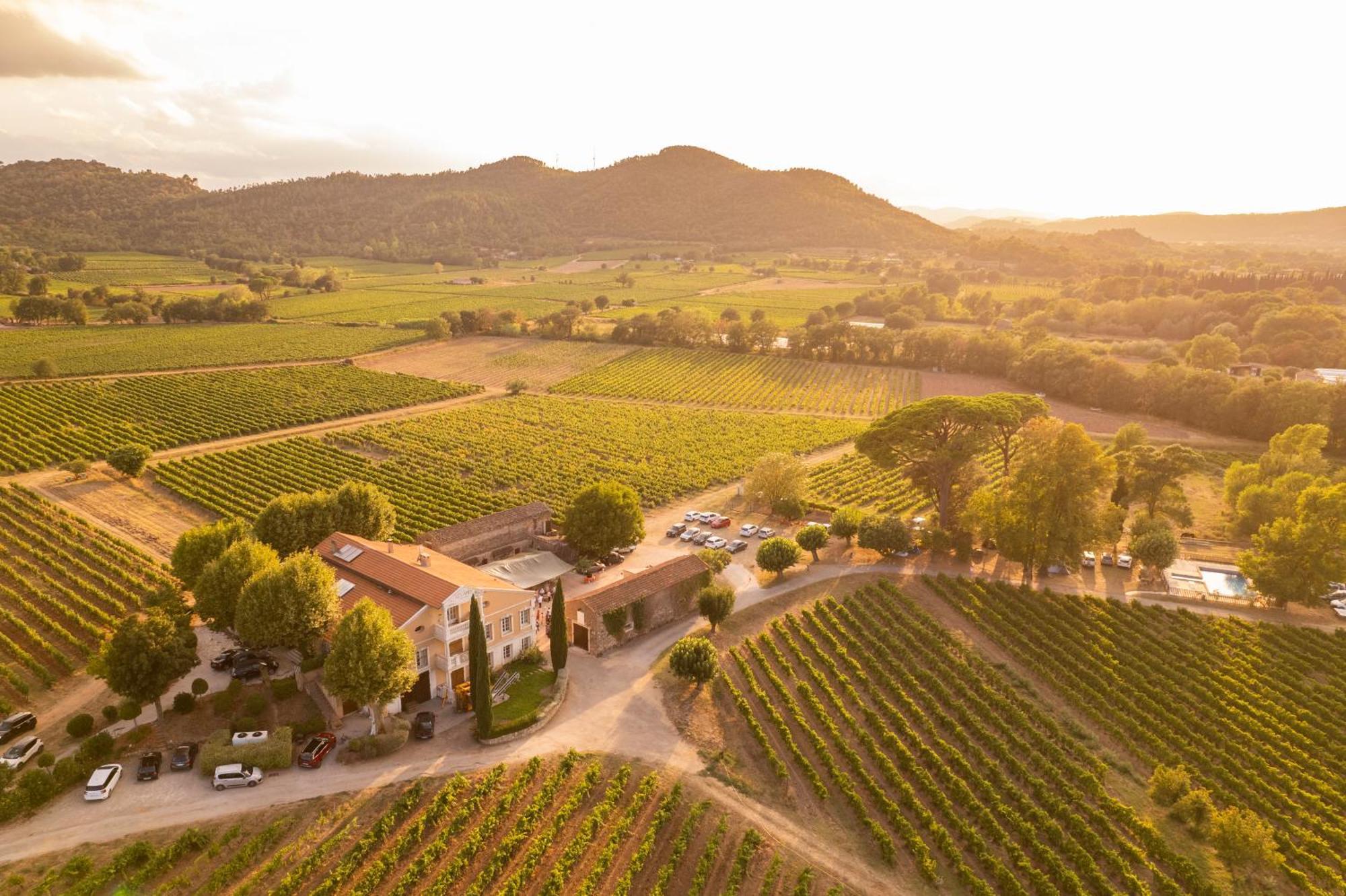 Gite Vert D'Olive Au Milieu Des Vignes - Chateau Les Apies Les Arcs-sur-Argens Eksteriør bilde