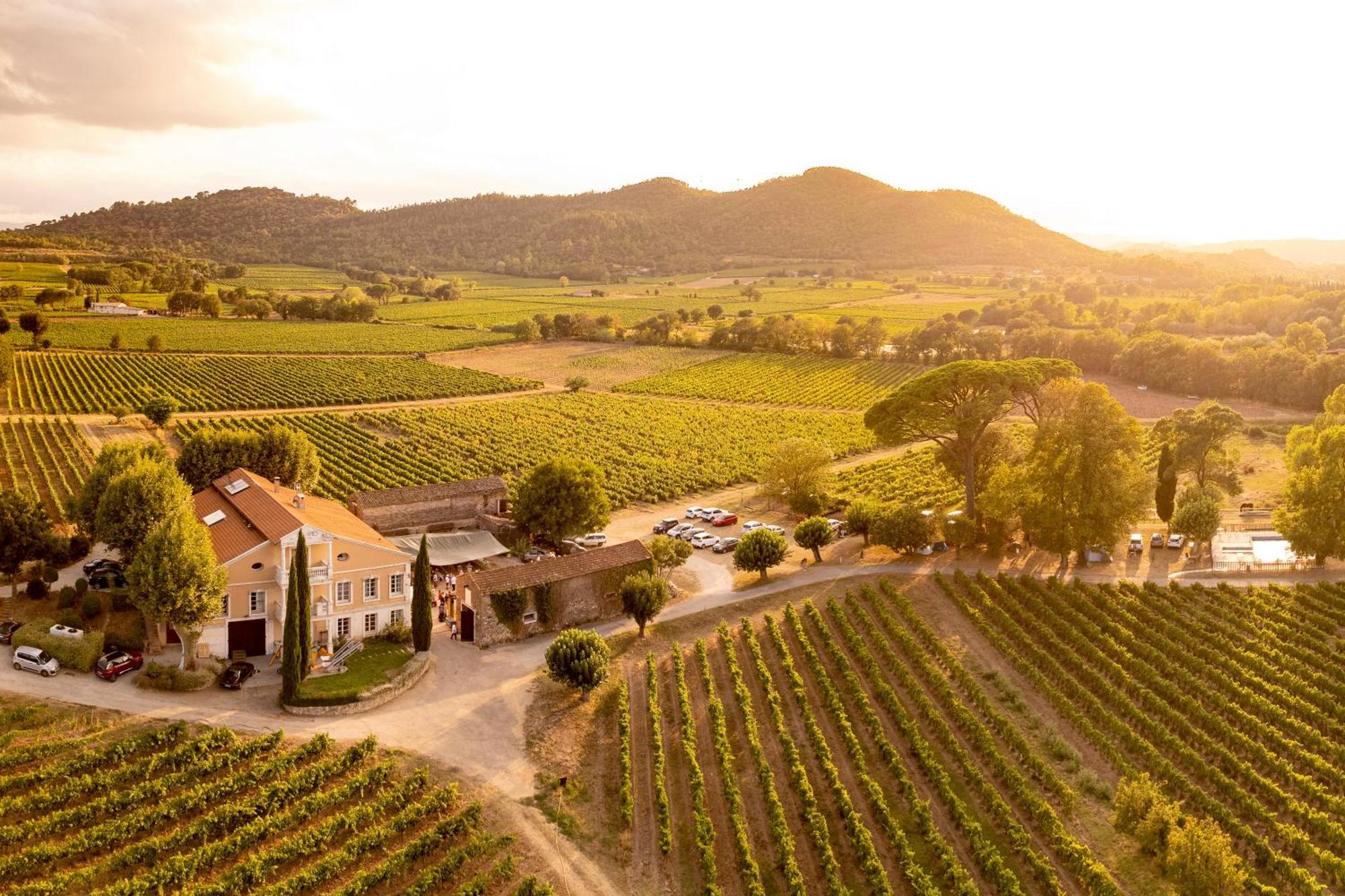 Gite Vert D'Olive Au Milieu Des Vignes - Chateau Les Apies Les Arcs-sur-Argens Eksteriør bilde